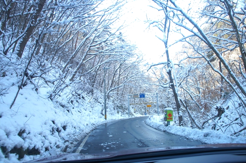DSC00061_R
