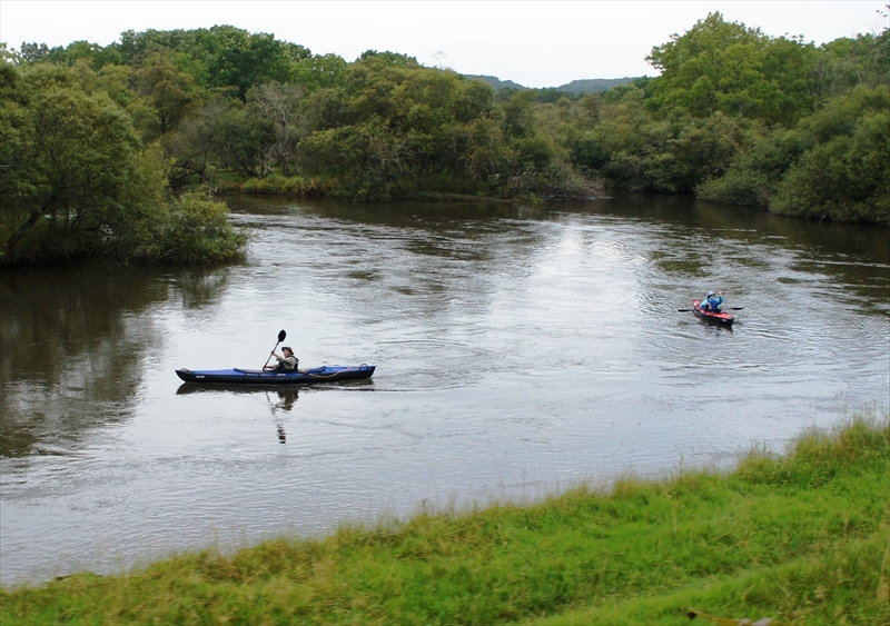 DSC00560_R