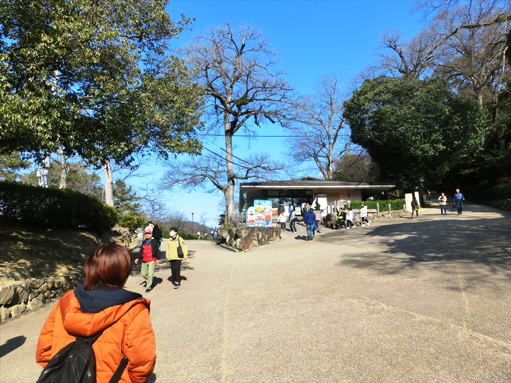 CIMG9922_R