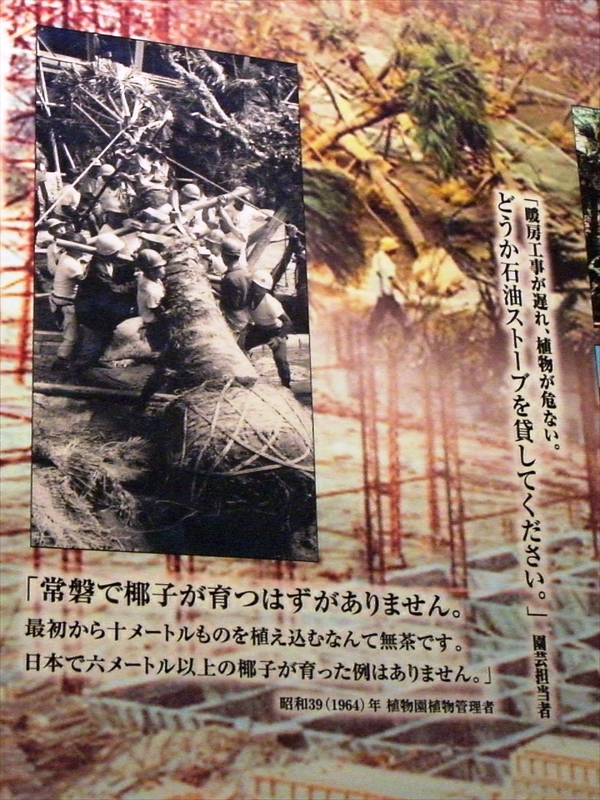 CIMG0815_R