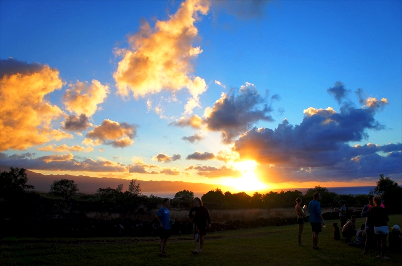 DSC08394_R