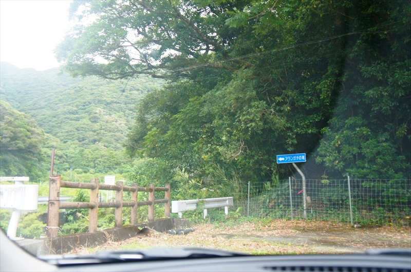 DSC00300_R