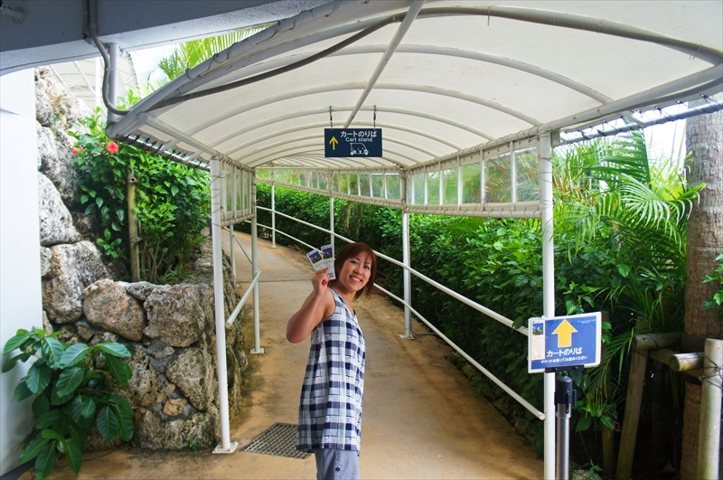 DSC00337_R