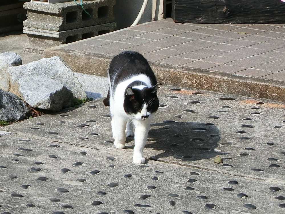 CIMG0301_R