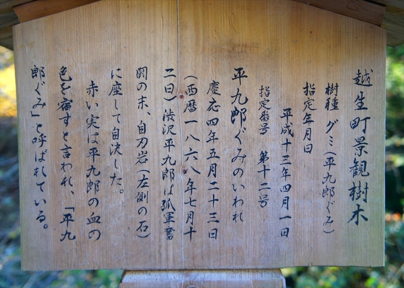 DSC01537_R