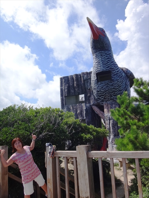 DSC01117_R