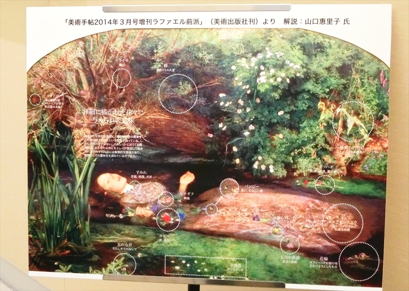 CIMG3954_R
