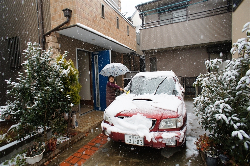 DSC03732_R