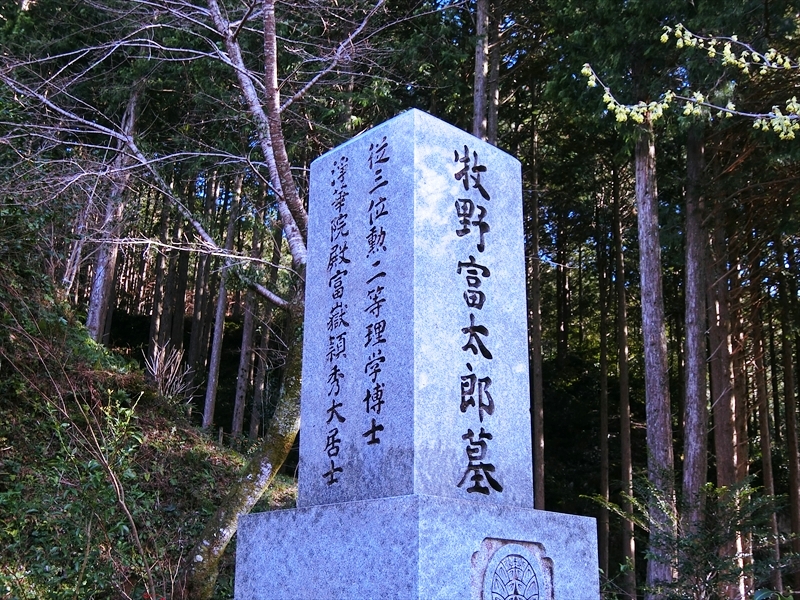 CIMG6032_R