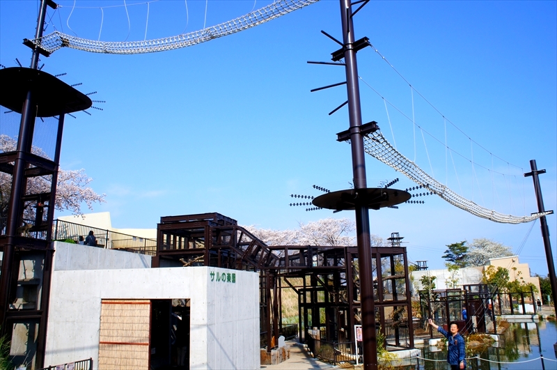 DSC04062_R