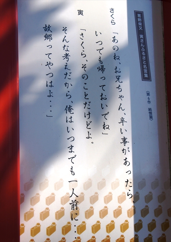 DSC00210_R