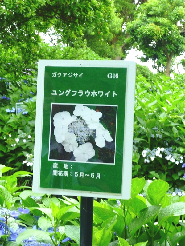 P1060379_R