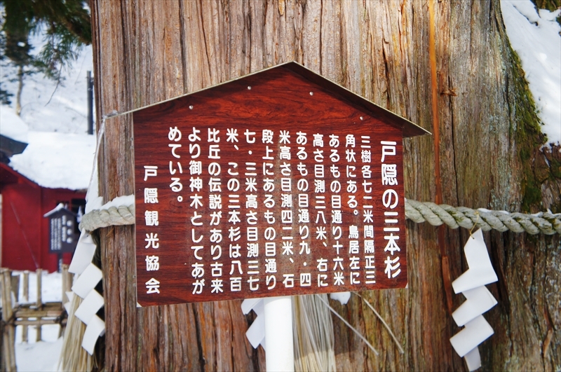 DSC00146_R