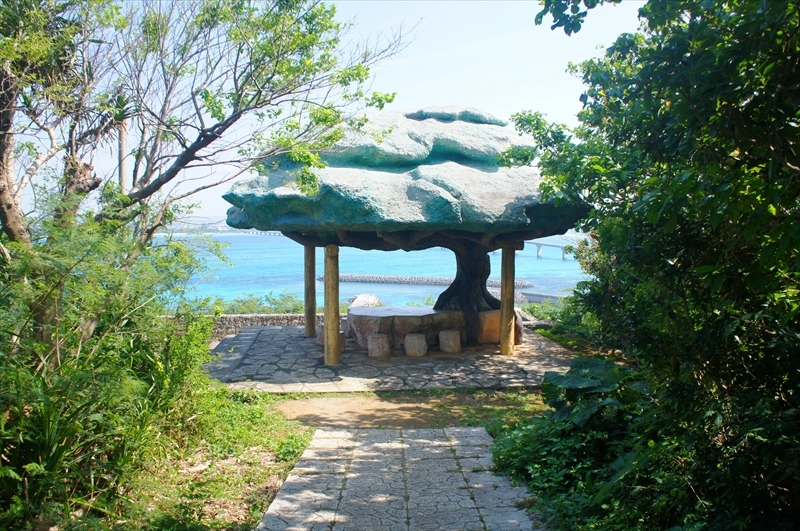 DSC00885_R