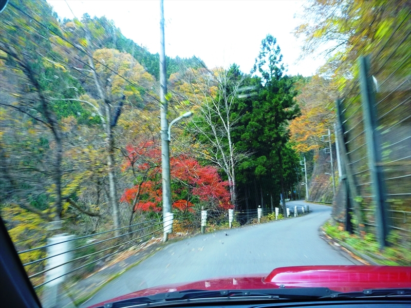 P1030549_R