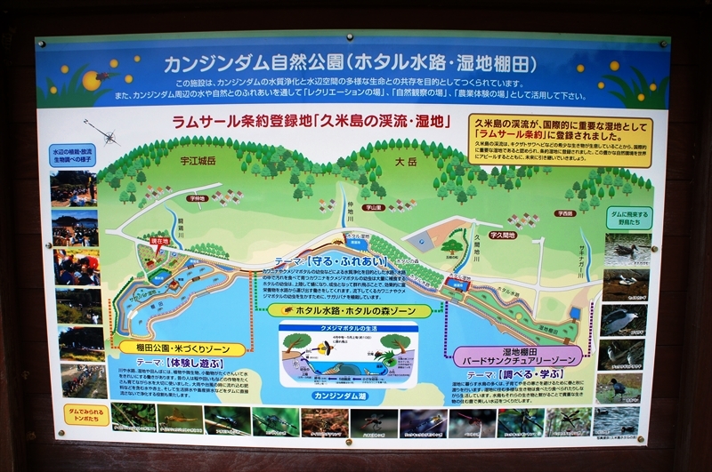 DSC02543_R