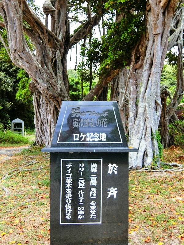 CIMG6037_R