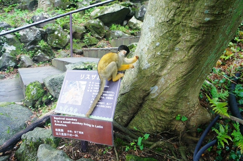 DSC02724_R