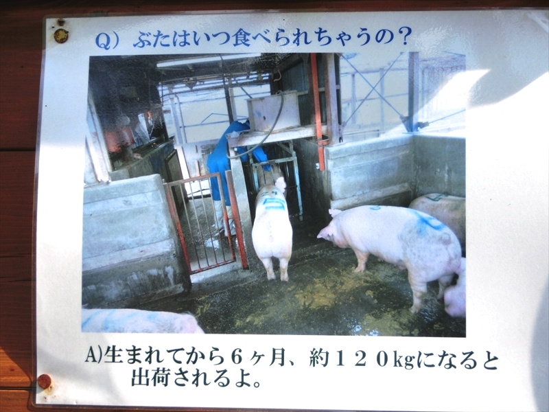 CIMG2340_R