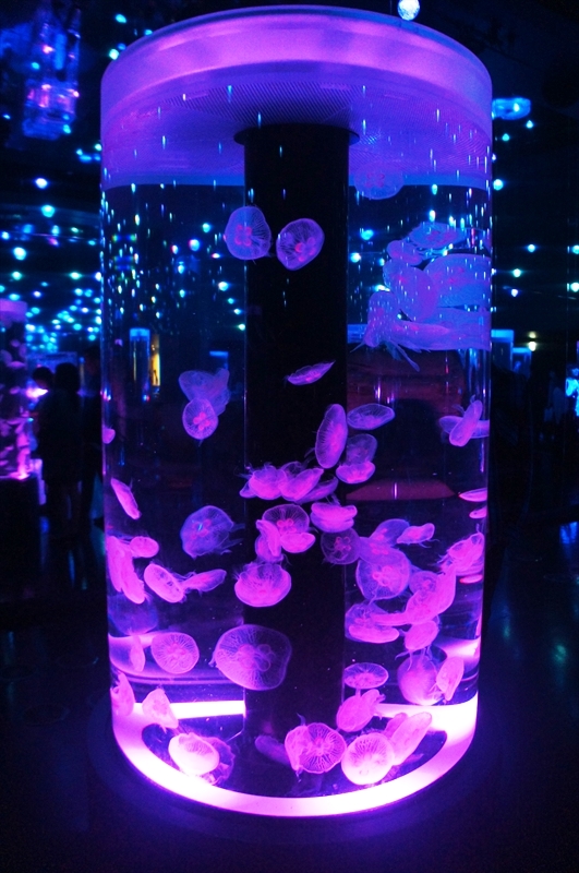 DSC01364_R