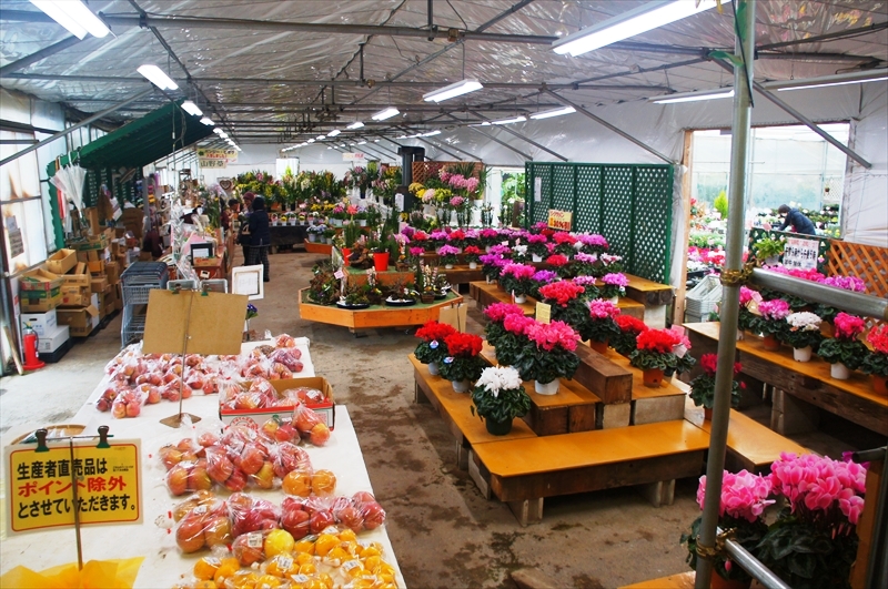 DSC00556_R