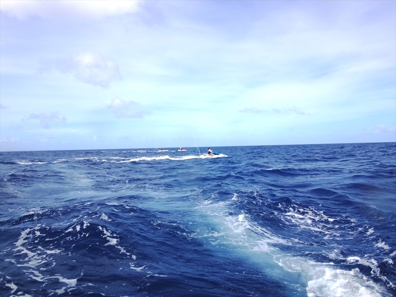 DSC08652_R
