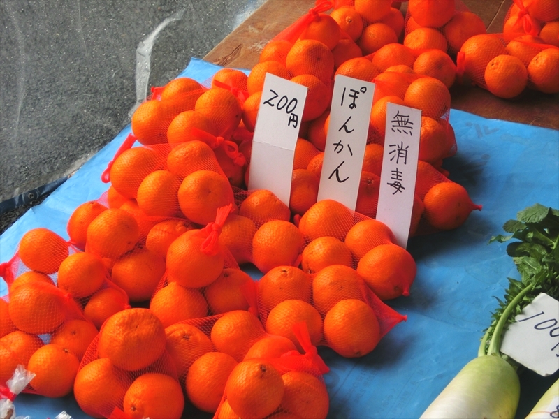 CIMG6761_R