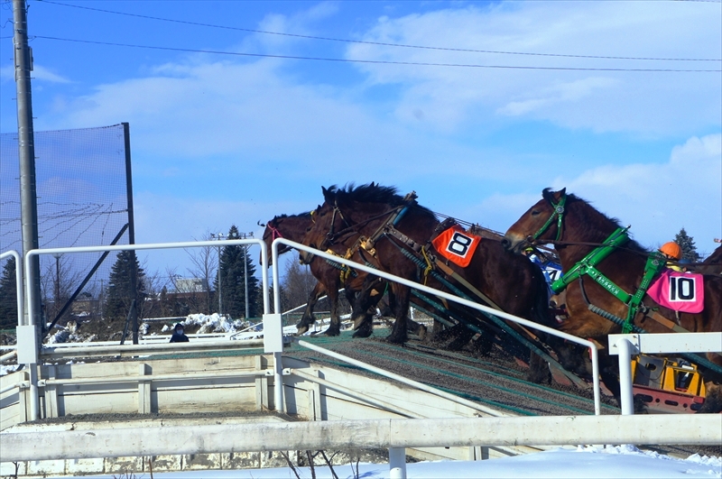 DSC00193_R