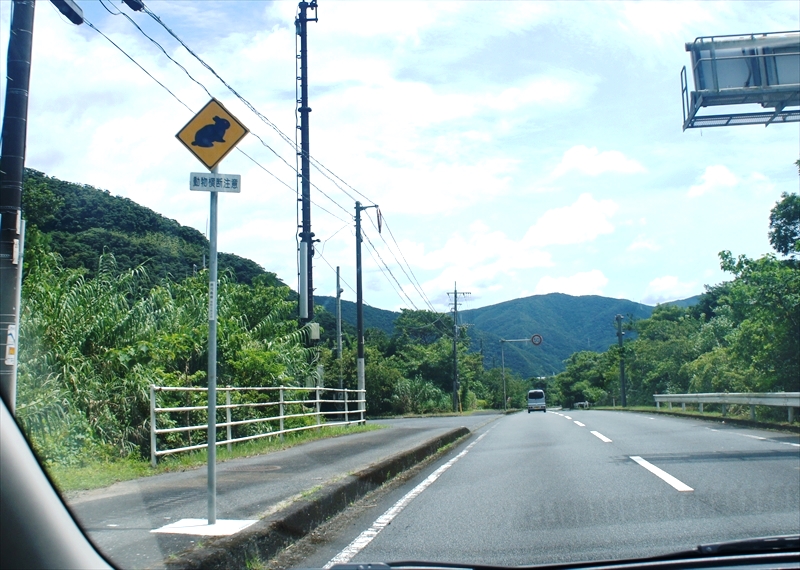 DSC00748_R