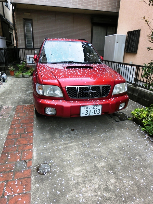 CIMG9745_R