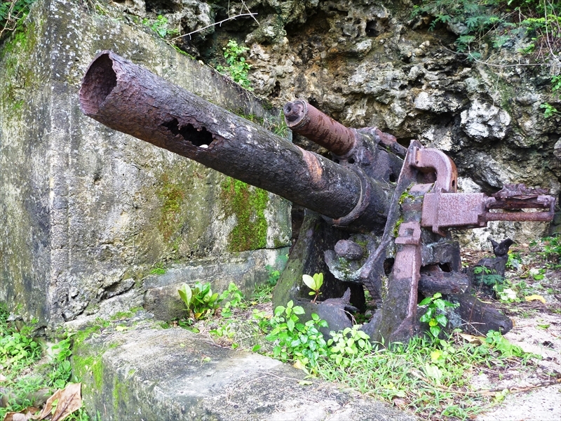 P1000245_R