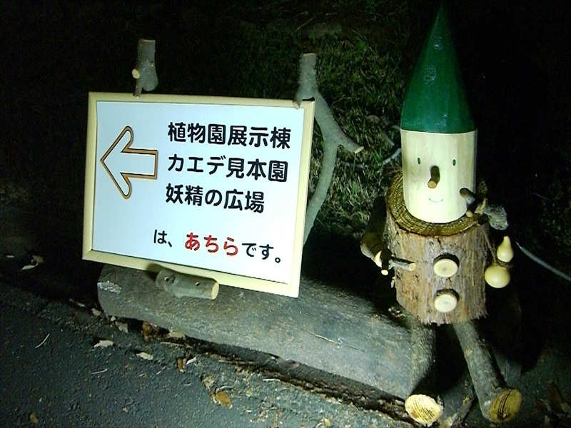 CIMG1444_R