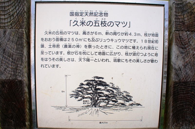 DSC02533_R