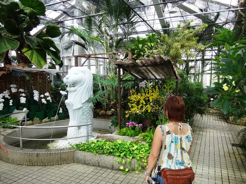 DSC00509_R