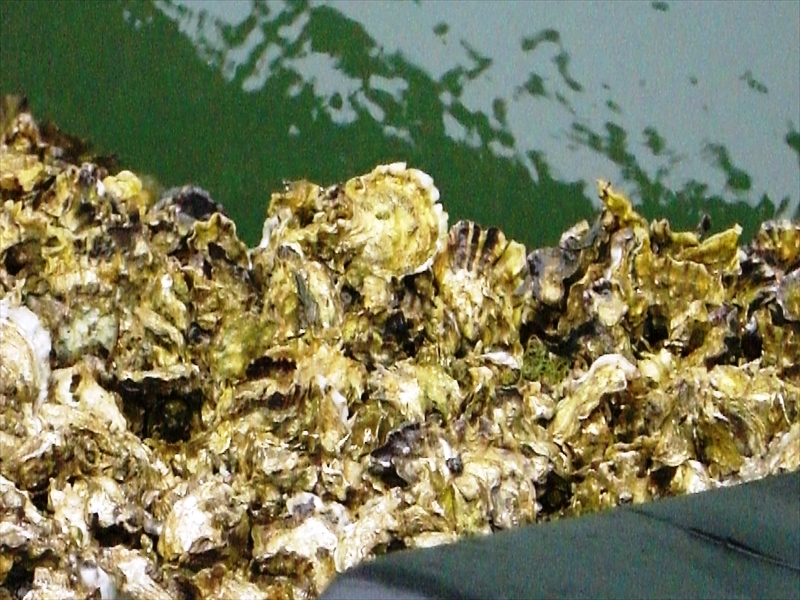 CIMG3027_R
