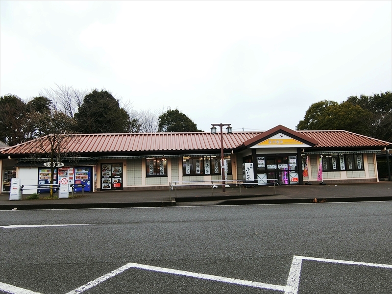 CIMG2591_R