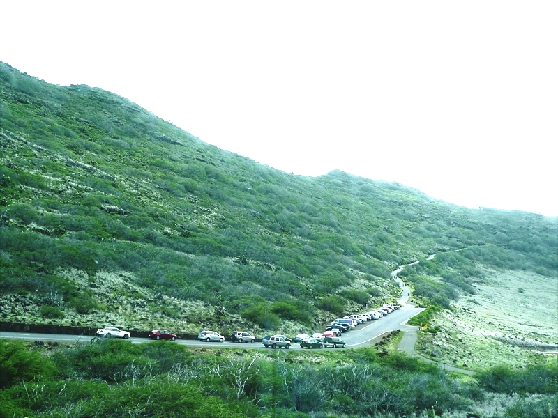 P1090603_R