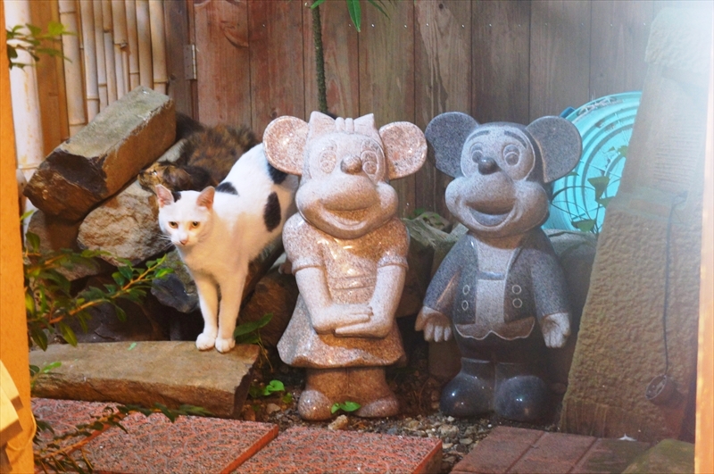 DSC03324_R