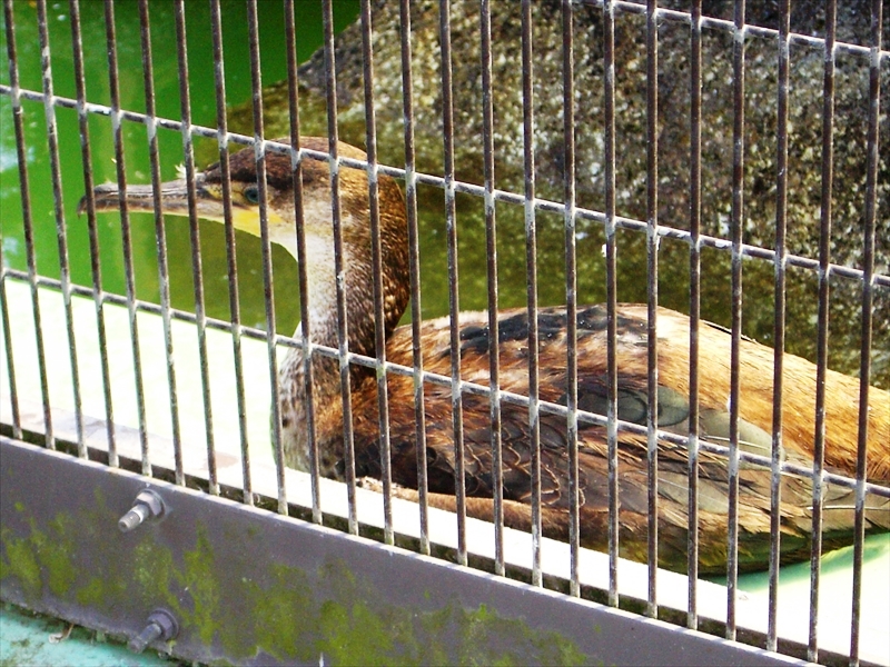 CIMG5277_R