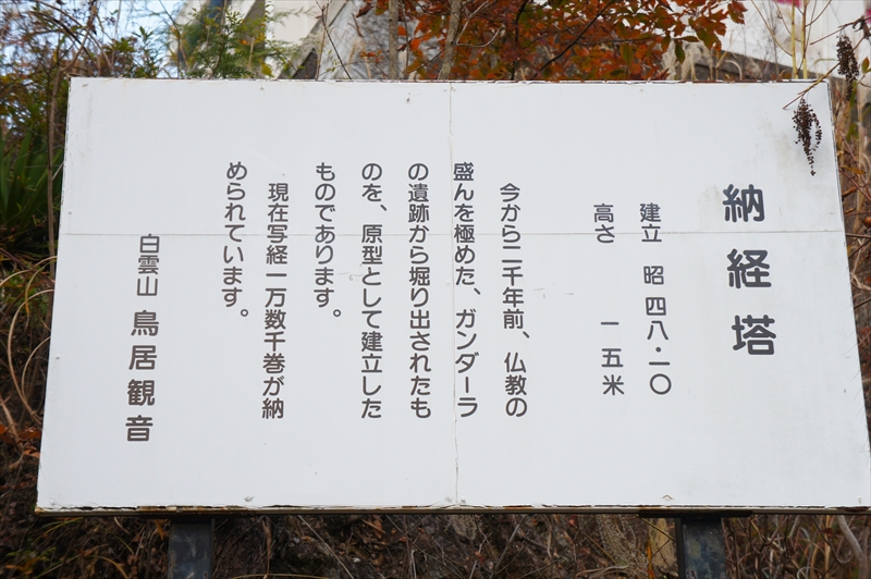 DSC01805_R