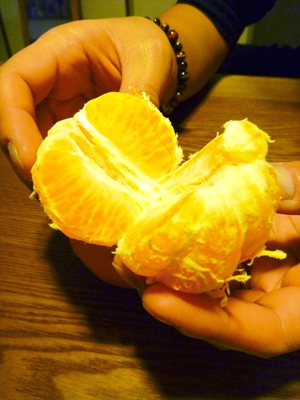 P1110646_R