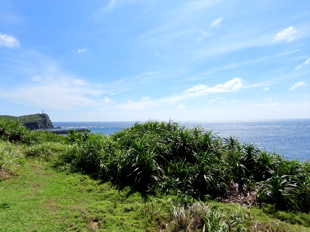 IMG_3346_R