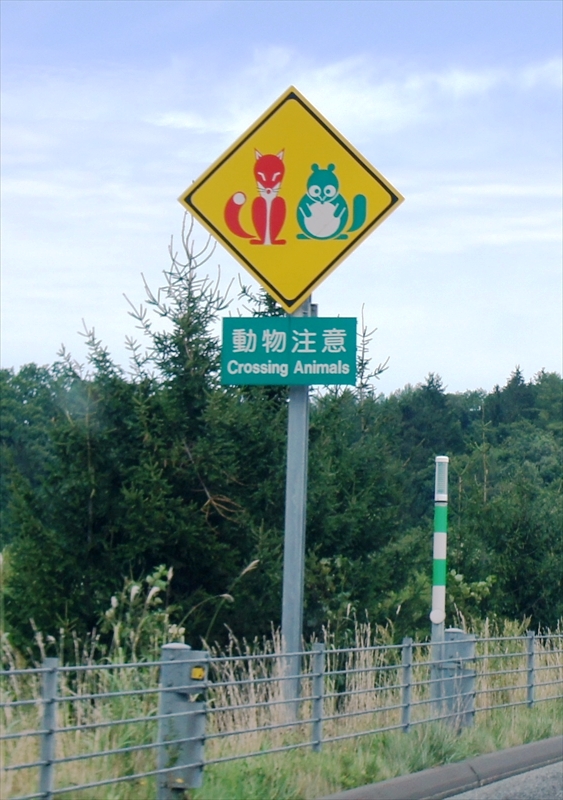 DSC00425_R