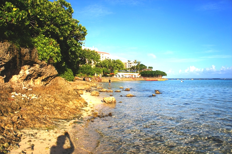 DSC00809_R