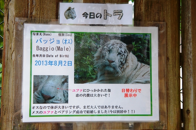 DSC02436_R