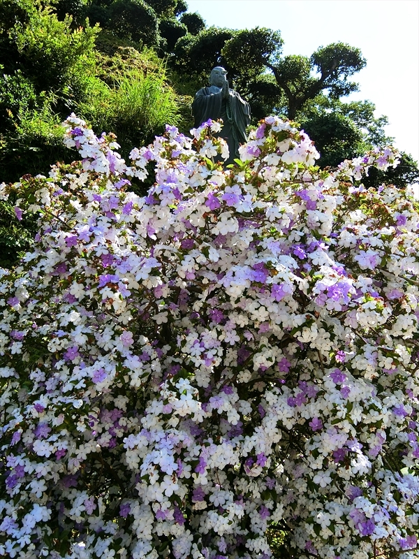 CIMG2794_R