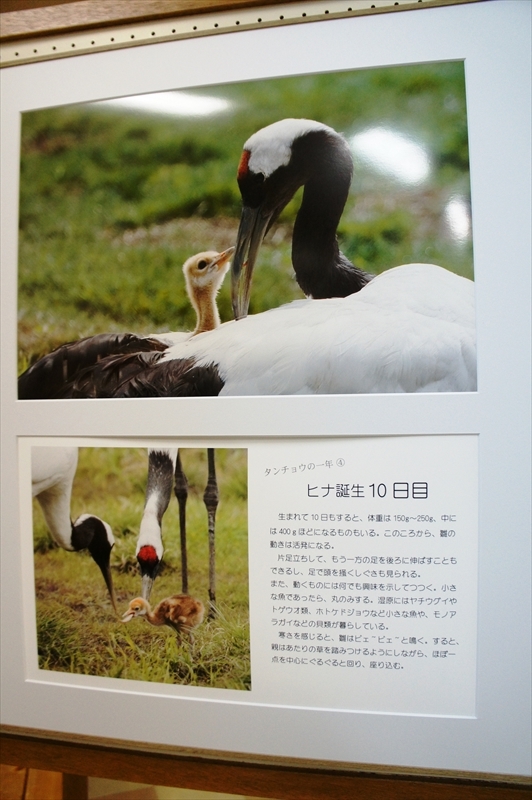 DSC00710_R