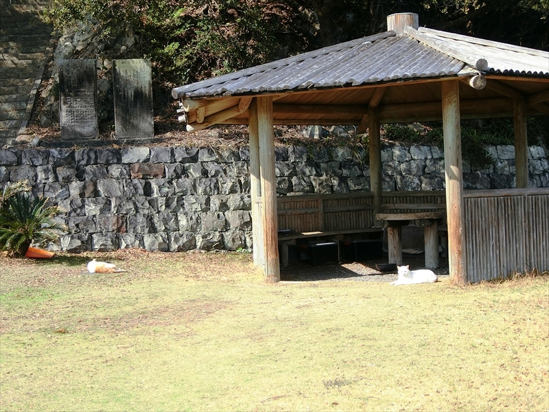 CIMG6617_R