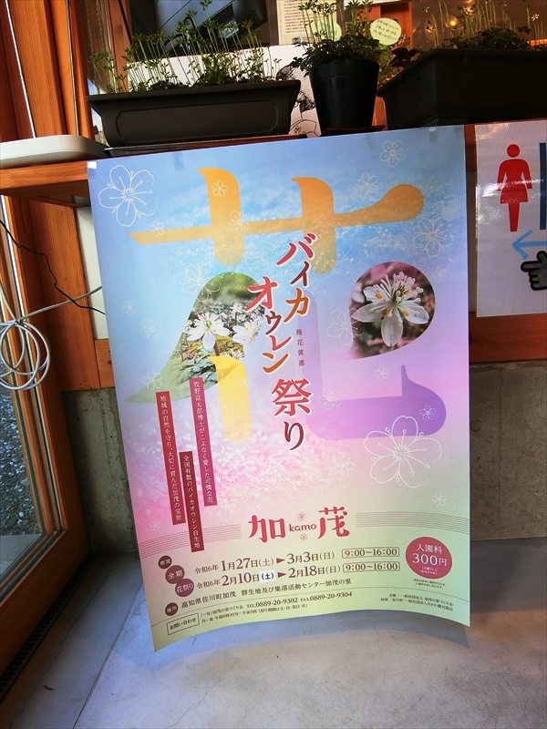 CIMG5937_R