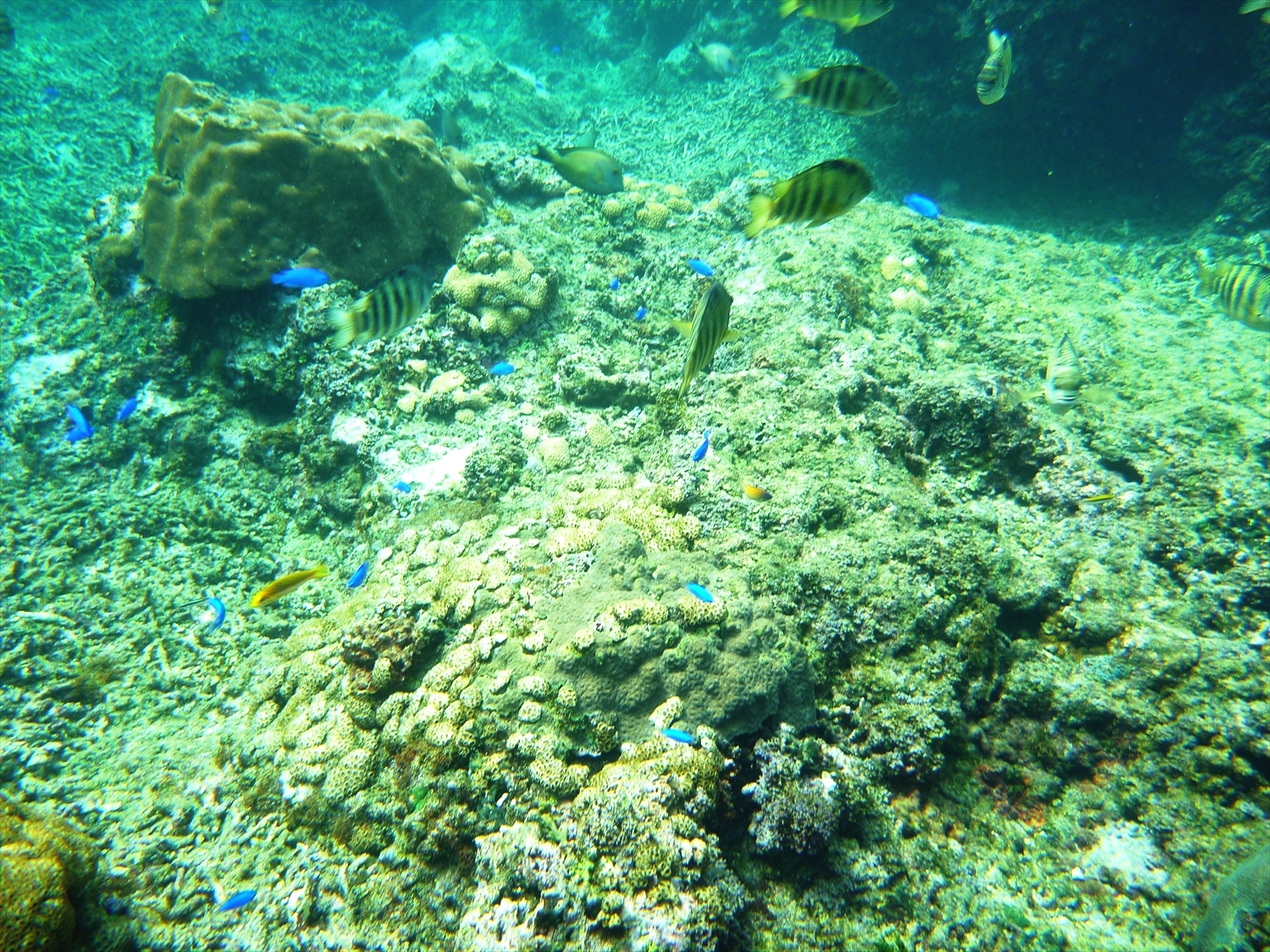 P1140358_R